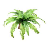 uploads/erp/collection/images/Home Garden/CongDing/XU0611635/img_b/XU0611635_img_b_5